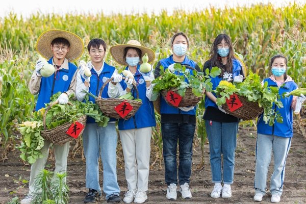 吉林大學(xué)師生開展田間秋收勞動(dòng)。吉林大學(xué)黨委宣傳部供圖