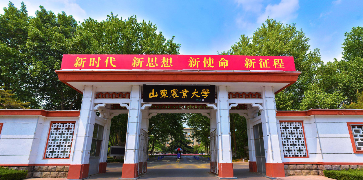 山東農(nóng)業(yè)大學(xué)2023年藝術(shù)類專業(yè)招生簡(jiǎn)章公布，面向山東招295人