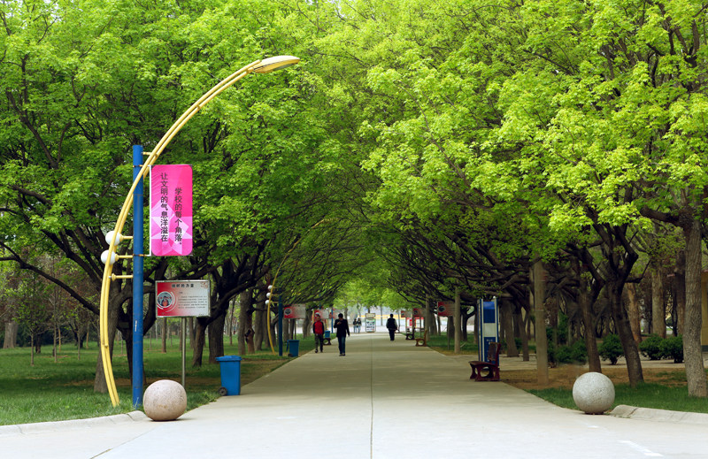 大學(xué)招辦主任說(shuō)高考——如何選擇高職院校