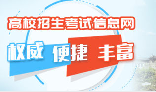 2024年甘肅省普通高等學(xué)校藝術(shù)類專業(yè)考試招生工作的通知