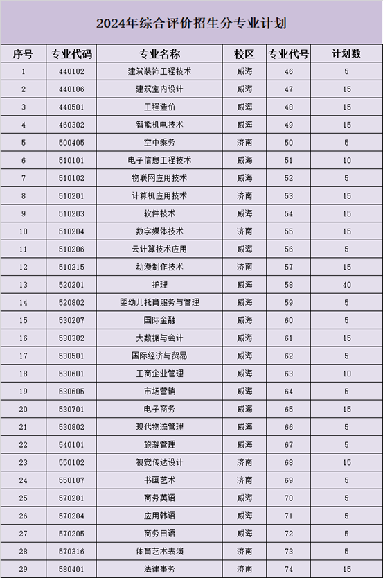 山東外事職業(yè)大學(xué)2024年單獨招生綜合評價招生計劃