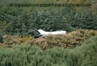 山東交通學(xué)院2024年家庭經(jīng)濟困難學(xué)生資助情況如何？