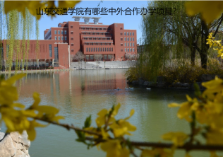 山東交通學院2024年有哪些中外合作辦學項目？
