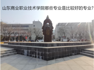 山東商業(yè)職業(yè)技術(shù)學(xué)院哪些專業(yè)是比較好的專業(yè)?