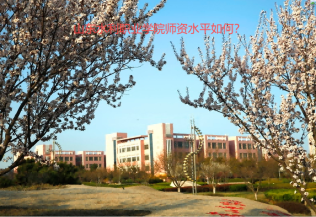 山東水利職業(yè)學(xué)院師資水平如何？