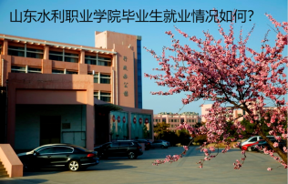 山東水利職業(yè)學(xué)院畢業(yè)生就業(yè)情況如何？