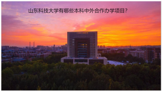 山東科技大學(xué)有哪些本科中外合作辦學(xué)項目？