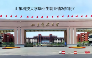 山東科技大學(xué)畢業(yè)生就業(yè)情況如何？