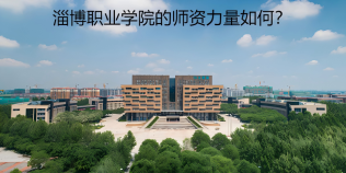 淄博職業(yè)學(xué)院的師資力量如何？