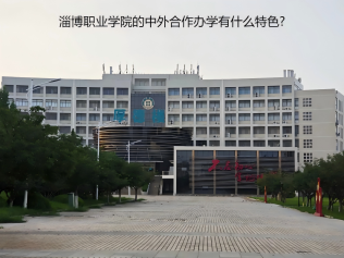 淄博職業(yè)學(xué)院的中外合作辦學(xué)有什么特色?